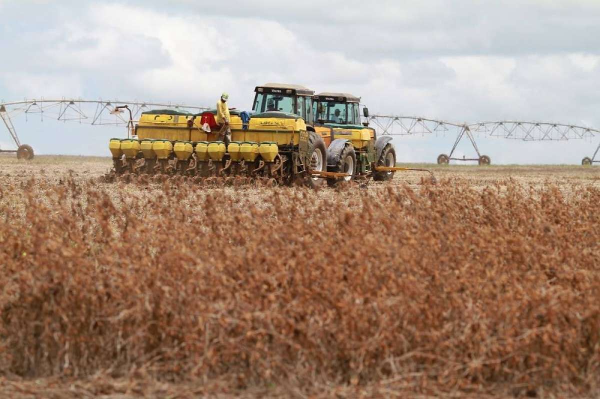 Anvisa Aprova Marco Regulat Rio Dos Agrot Xicos Brasil O Dia