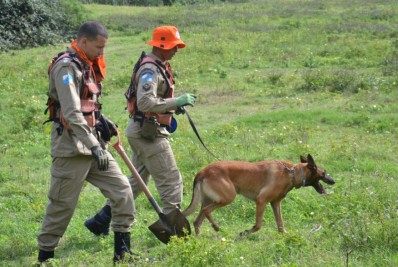 C O Farejador Ajuda Nas Buscas Por Idoso Desaparecido Em Arraial Do