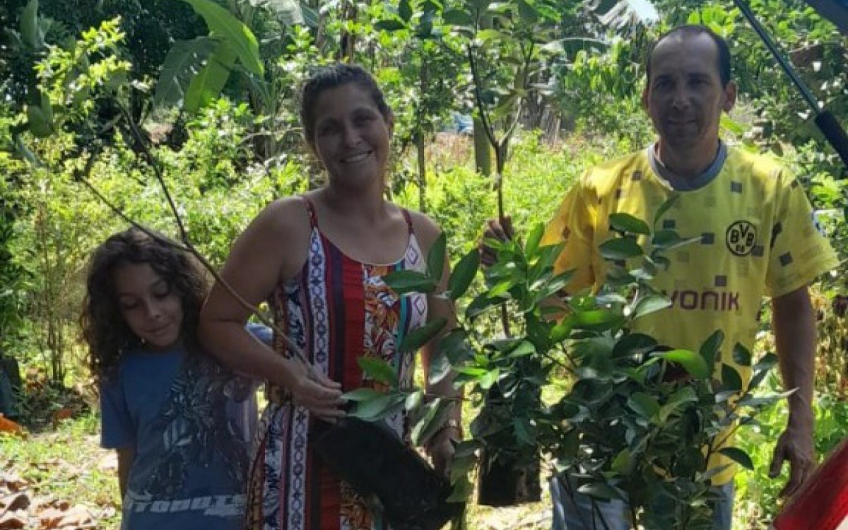 Mais de mil mudas de árvores frutíferas são distribuídas para