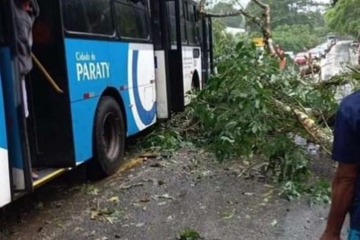 Rvore Cai Em Cima De Nibus Em Paraty Paraty O Dia