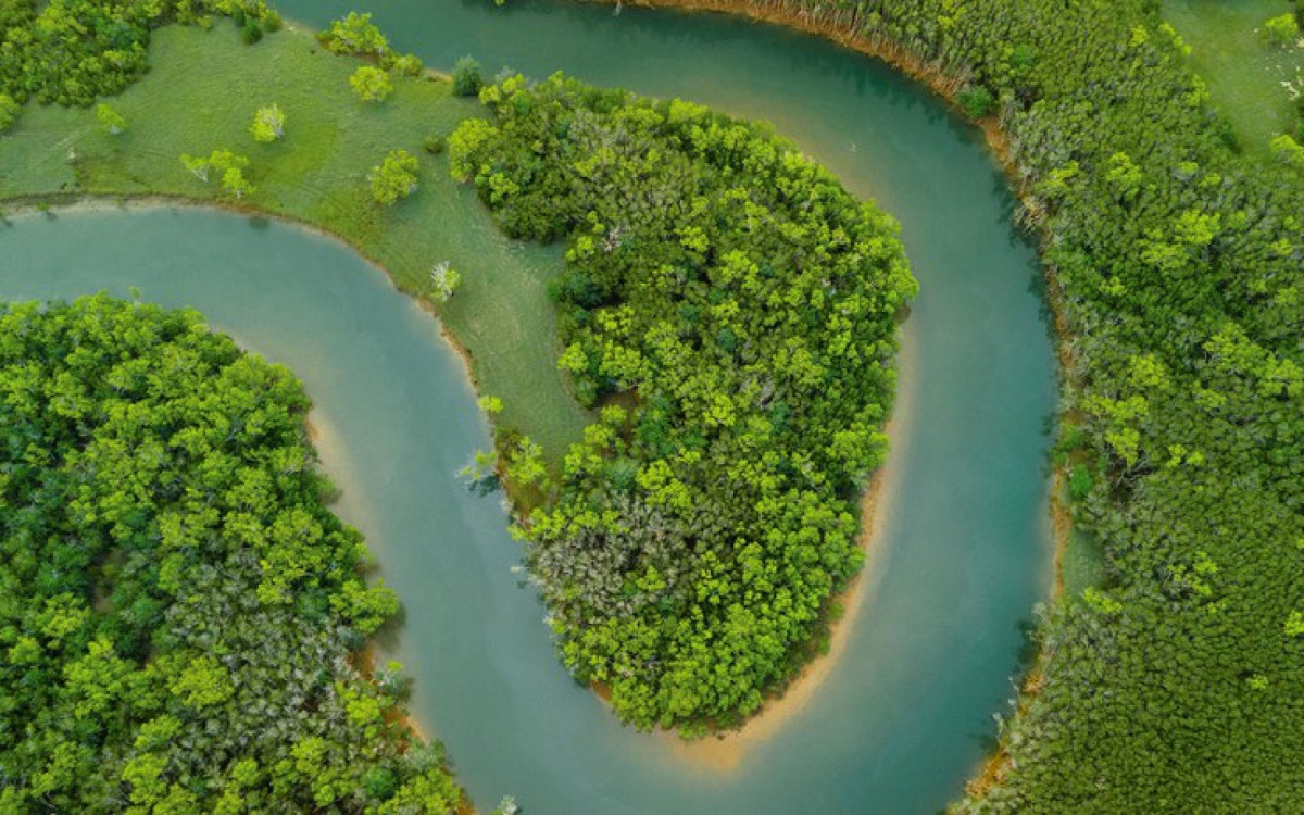 Amaz Nia Perdeu Milh Es De Hectares De Floresta Ao Longo De Anos