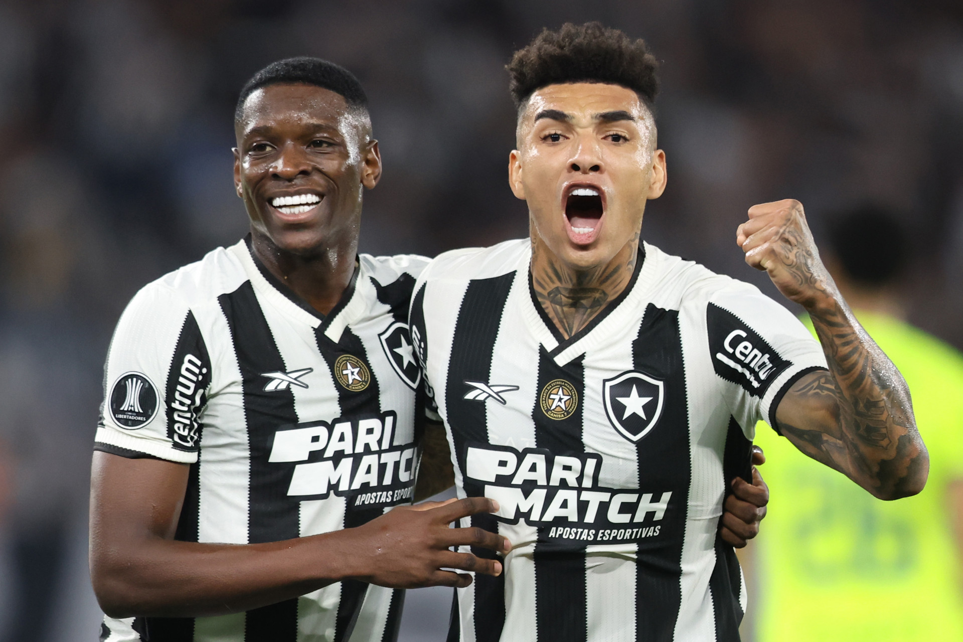 Botafogo Vence O Palmeiras E Abre Vantagem No Confronto Da Libertadores