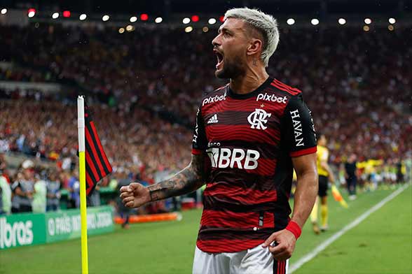 Trajetória de um Campeão