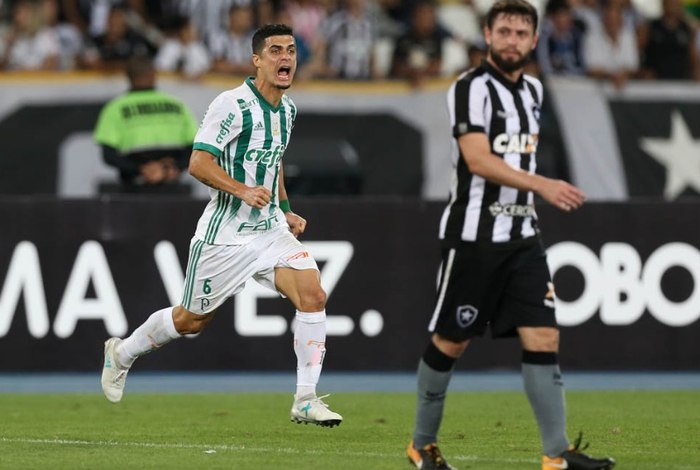 Jogo Botafogo e Palmeiras no Estádio Nilton Santos - não tratar