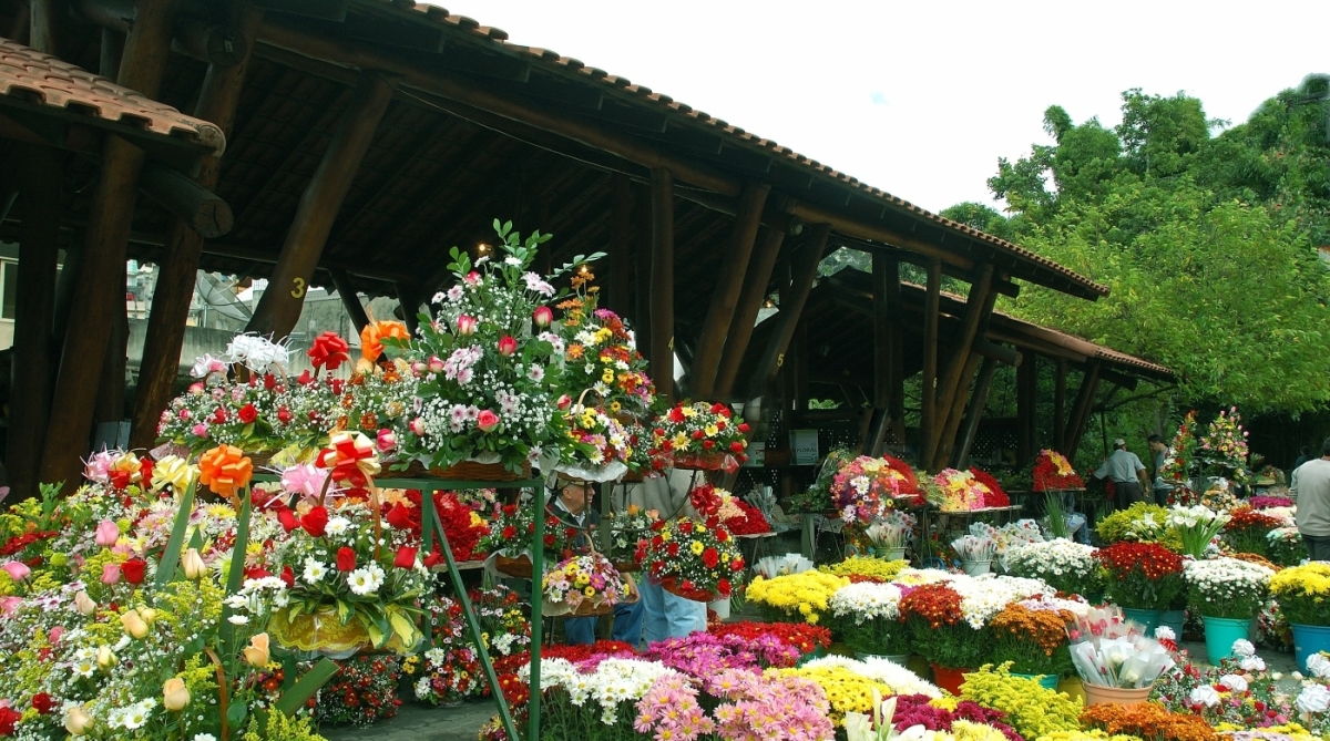 nova friburgo cidade das flores 2 - divulgação