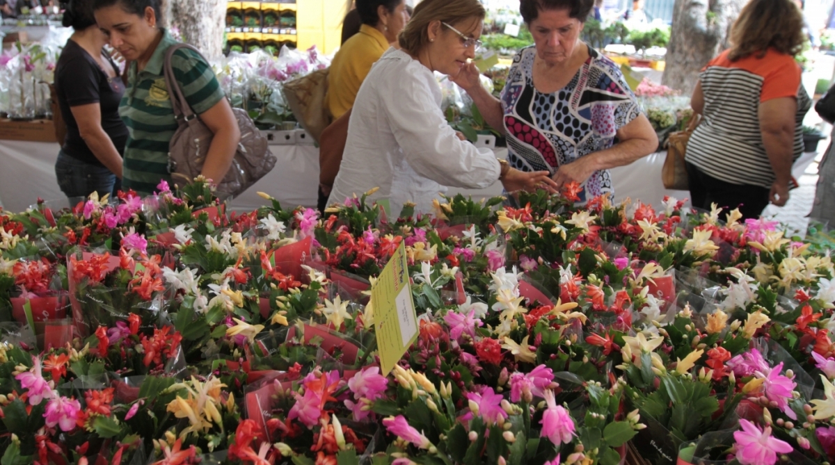 12ª Expo Flor em Macaé, Praça Verríssimo de Mello. Macaé/RJ - Data: 26/09/2013. Foto: Moisés Bruno / Prefeitura de Macaé.