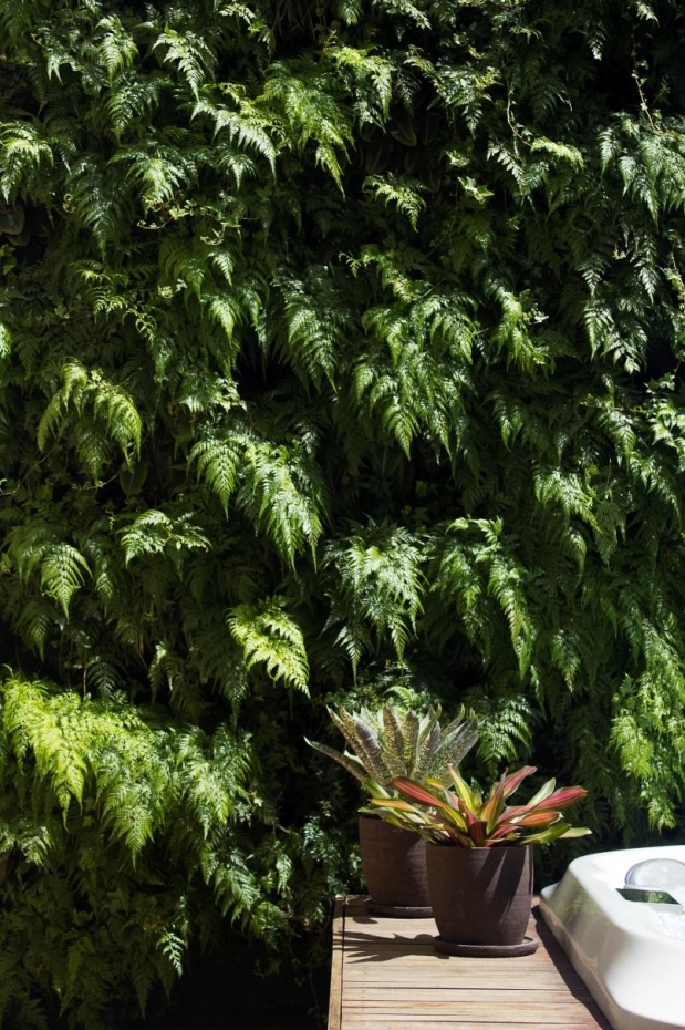 Ambientes que contam com plantas para deixar os espa&ccedil;os mais harm&ocirc;nicos e refrescantes mesmo em im&oacute;veis compactos