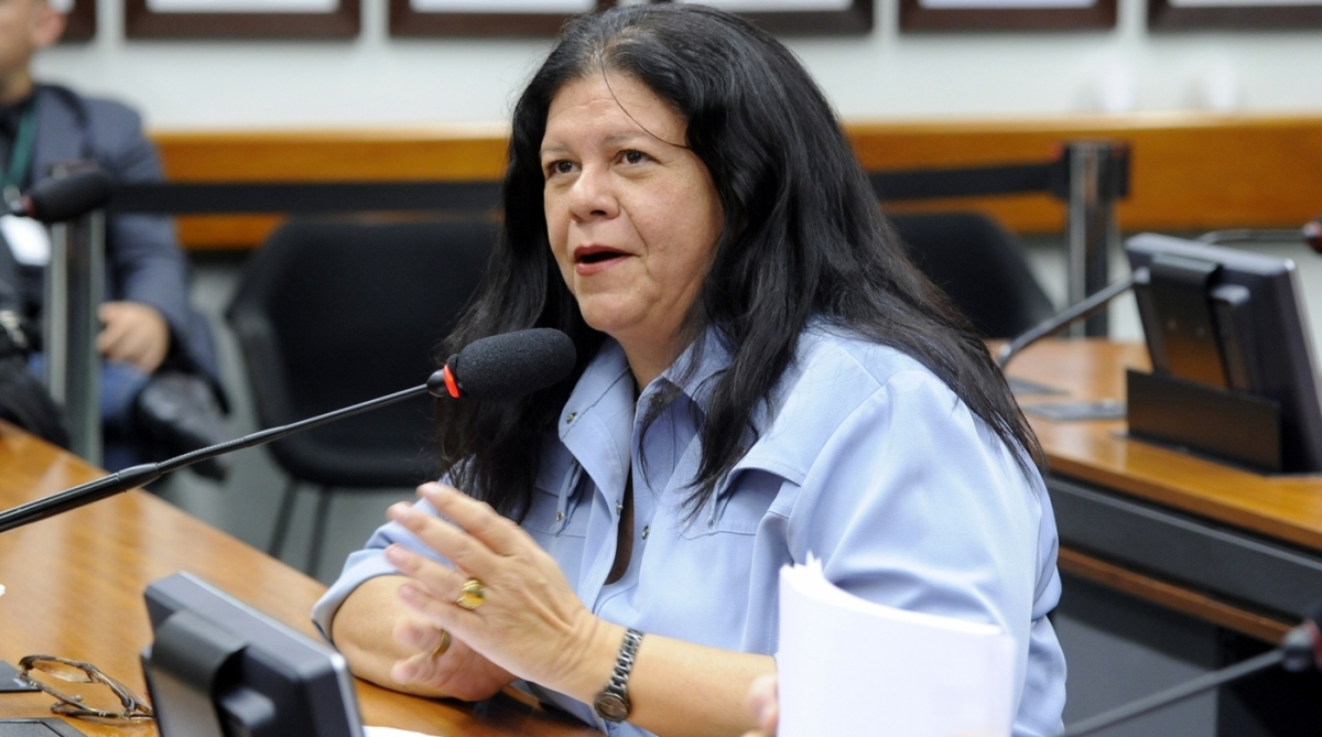 Deputado Federal Laura Carneiro