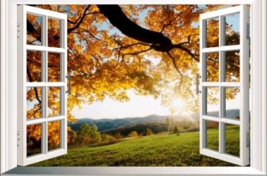 Aprenda simpatia para melhorar a harmonia do lar