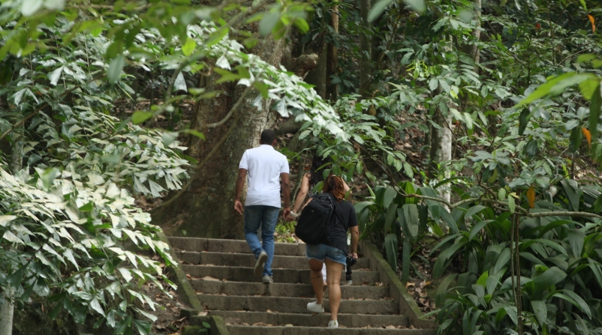 Pessoas que fazem trilhas opinam sobre a segurança, ou a falta dela nas trilhas do Parque Lage.Muitos documentos são perdidos nas trilhas do parque e ficam guardadas no posto da Segurança, na entrada do Parque.
