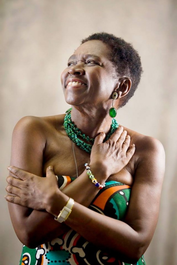 dia consci&ecirc;ncia negra