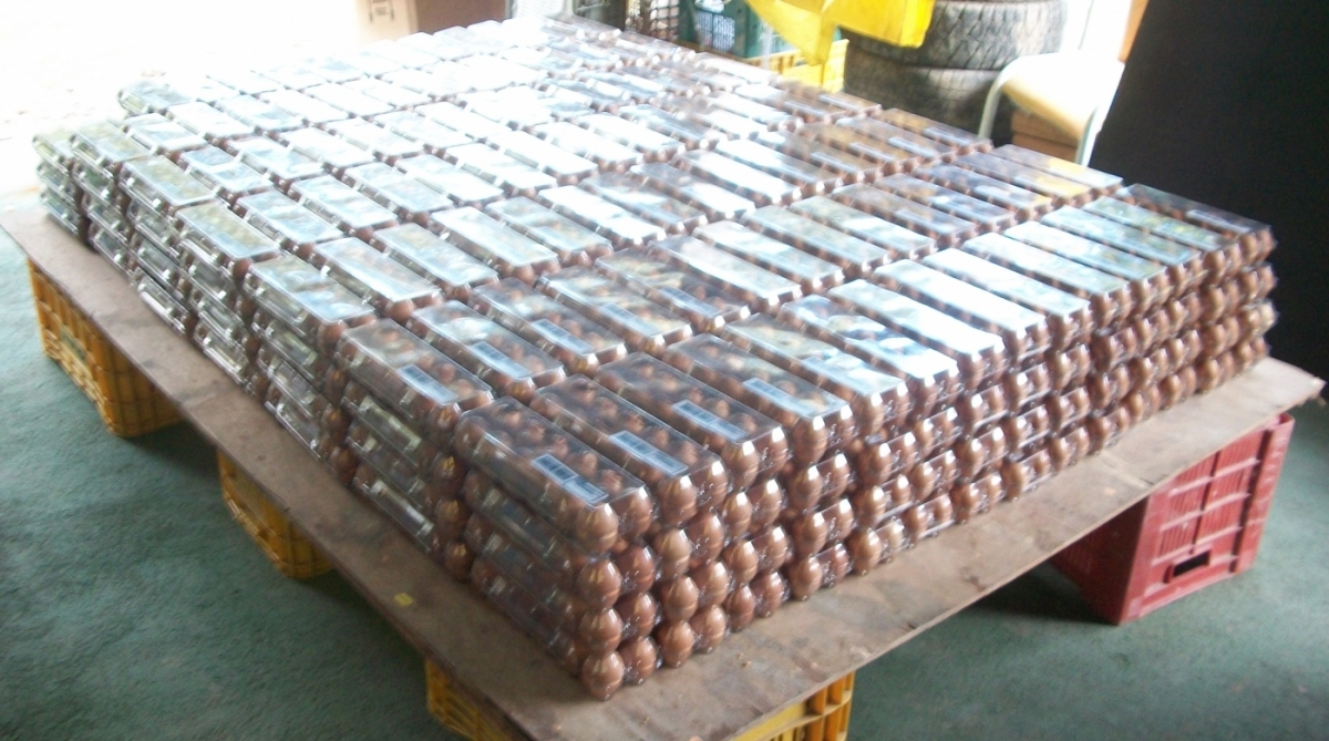 Estoque de ovos, Emater-Rio