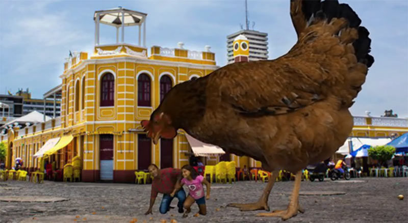 Venda de ovos. - Reprodução