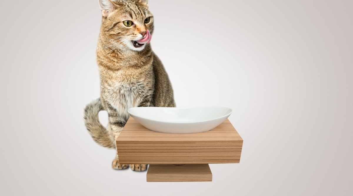 Opções de móveis para gatos e cachorros que ajudam a decorar os ambientes da casa