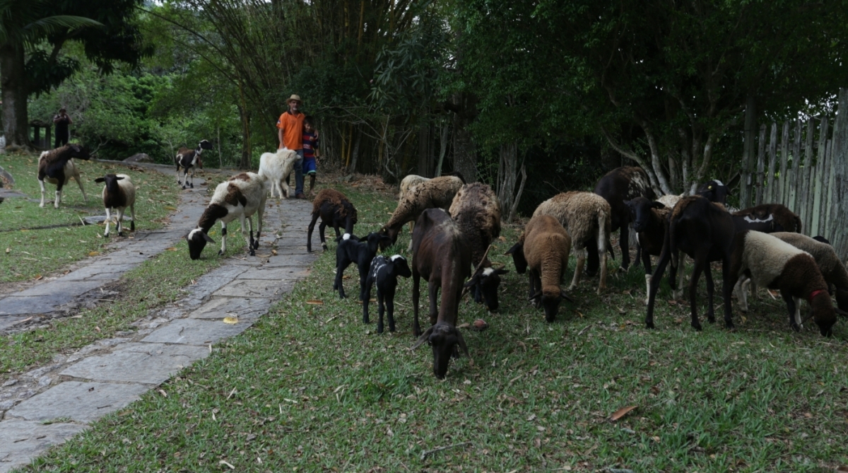 parque rural niter&oacute;i
