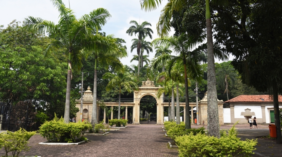 As obras têm o objetivo de proporcionar uma experiência mais real - RioZoo/Divulgação