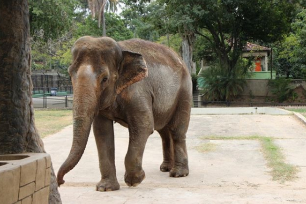  Capa Guia Show e Lazer - eventos de f&eacute;rias
