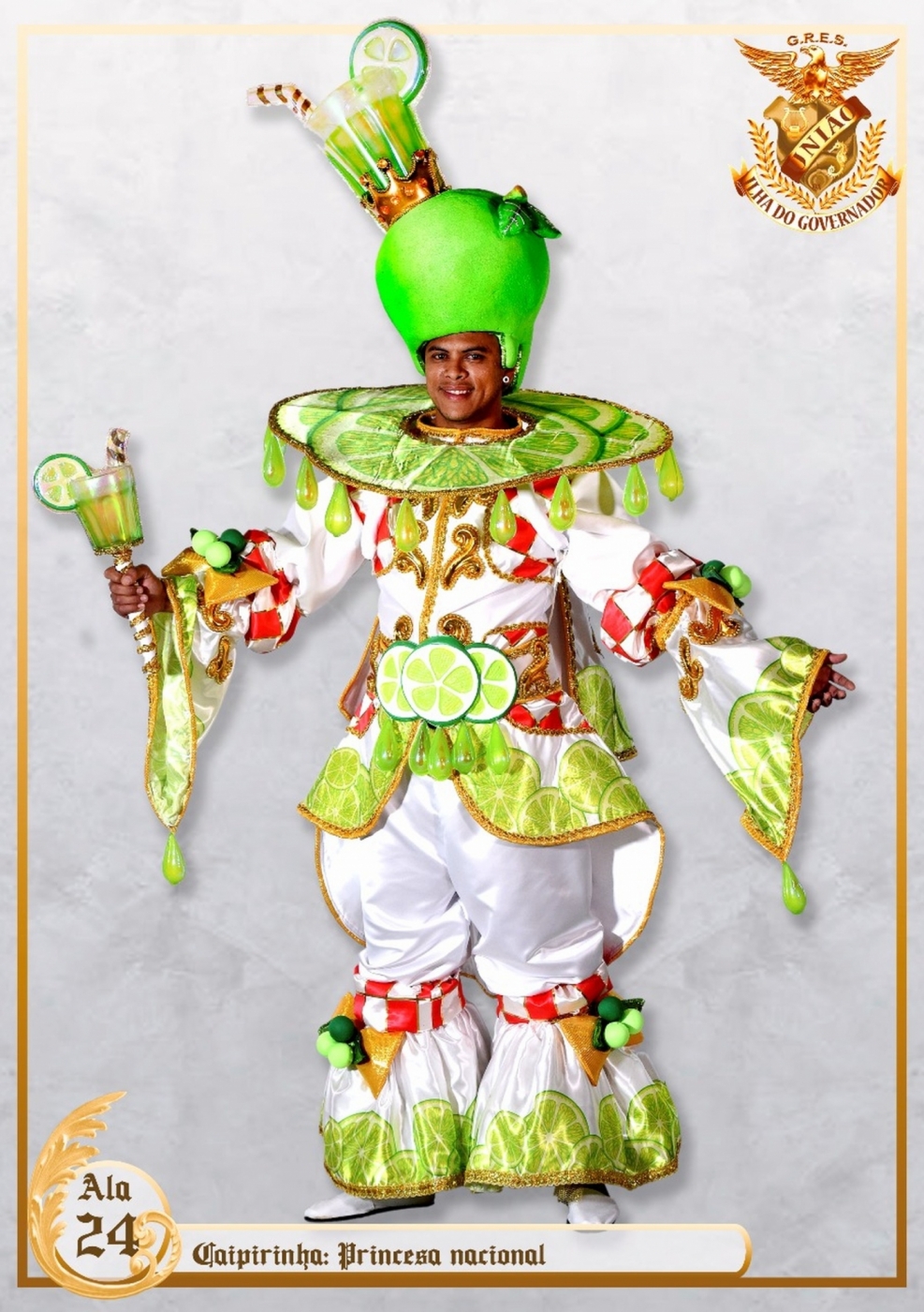 Fantasia da Beija-Flor no setor 4