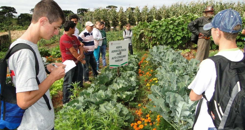 Reconhecido pelo MEC e o Conselho Regional de Engenharia e Agronomia (Crea), curso dura dois anos