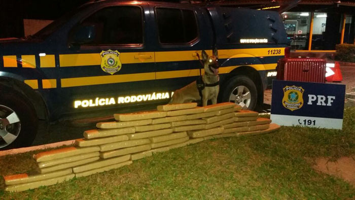 PRF apreendeu 40 kg de maconha com ajuda de c�o farejador 