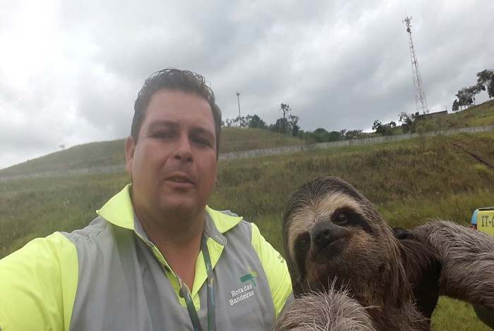 O operador de tr�fego Luiz Barbosa e a pregui�a resgatada �s margens da rodovia Dom Pedro 1�, em Igarat� 