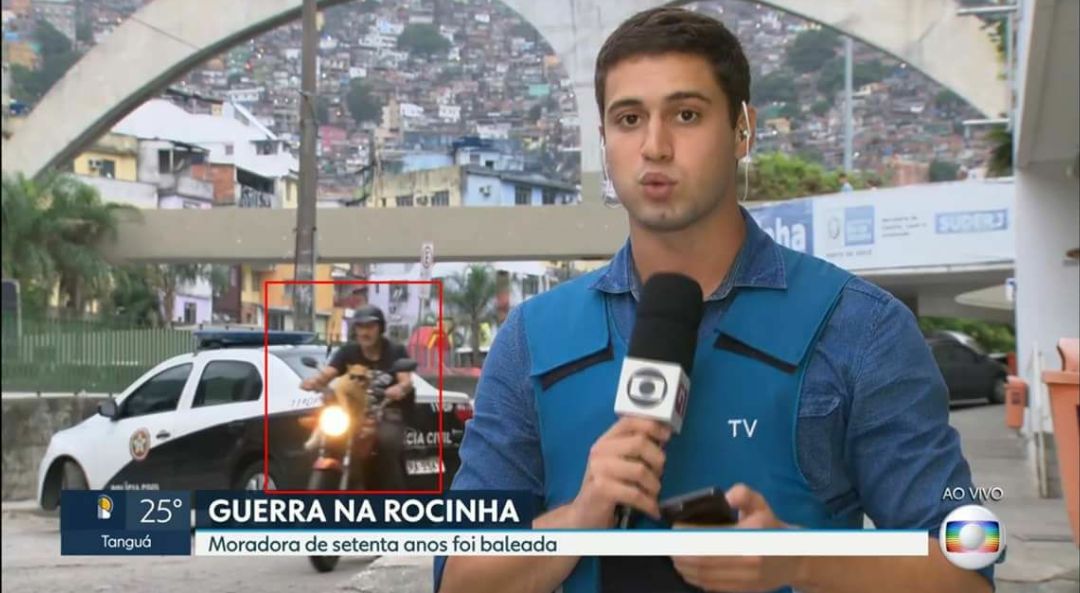 Chiquinho, o gato motoqueiro da Rocinha que viralizou - Reprodução Internet