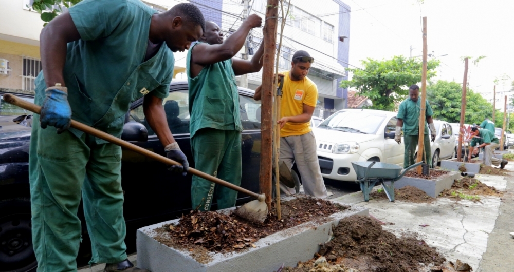 A Rua Itagua�, no P� Pequeno, recebeu 45 �rvores com adubo feito com restos de comida de restaurantes 