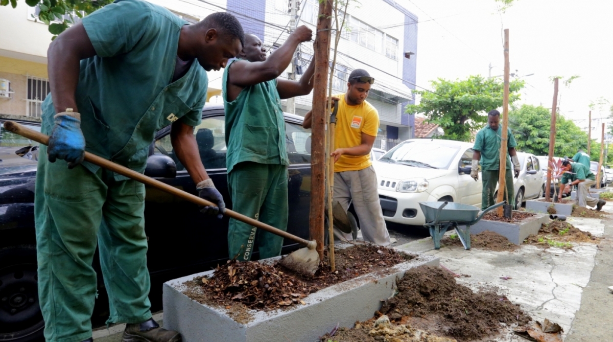 A Rua Itaguaí, no Pé Pequeno, recebeu 45 árvores com adubo feito com restos de comida de restaurantes  - Luciana Carneiro/ Divulgação