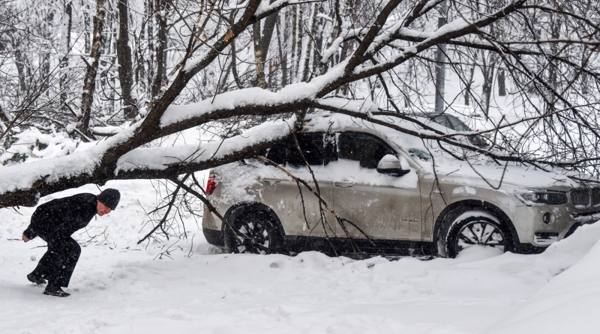 Moscou enfrenta a pior nevasca da história. Pelo menos uma pessoa morreu por uma queda de árvore por conta do peso da neve. Nas ruas, os pedestres estão com dificuldades para caminhar nas ruas tomadas por montes de neve com mais de um metro de altura. Aeroportos cancelaram voos e engarrafamentos tomam conta da cidade 