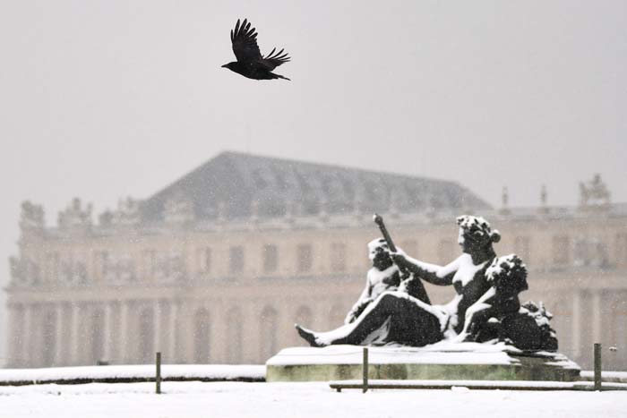 Corvo sobrevoa o Palácio de Versailles, em Paris, coberto pela neve.