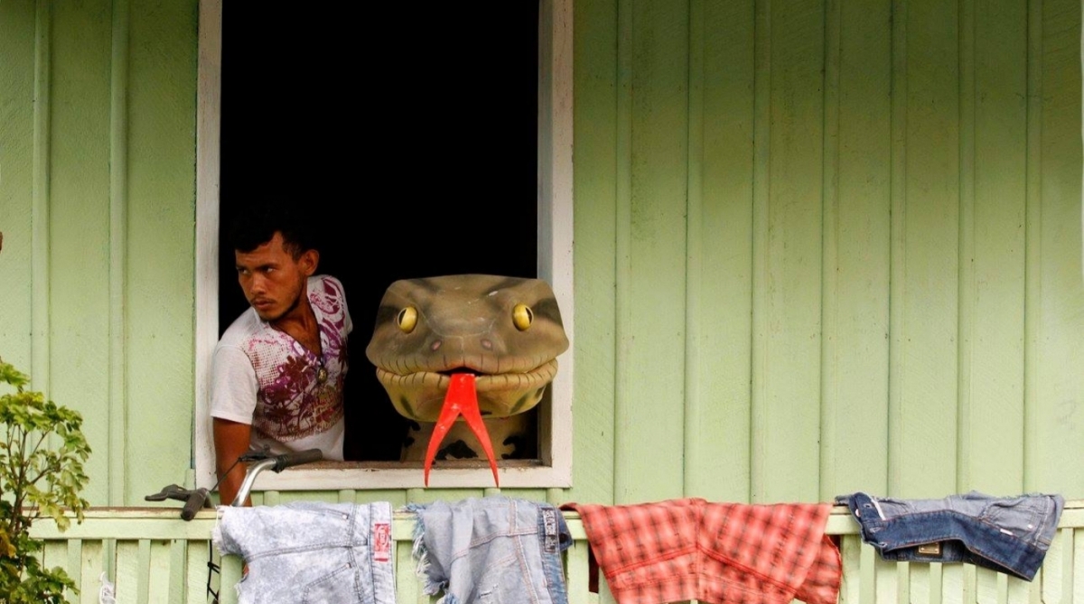 Carnaval na Floresta na comunidade de Juaba , vila de Cametá, no Pará. Crianças homenageiam animais do imaginário Amazônico no Bloco da Bicharada.