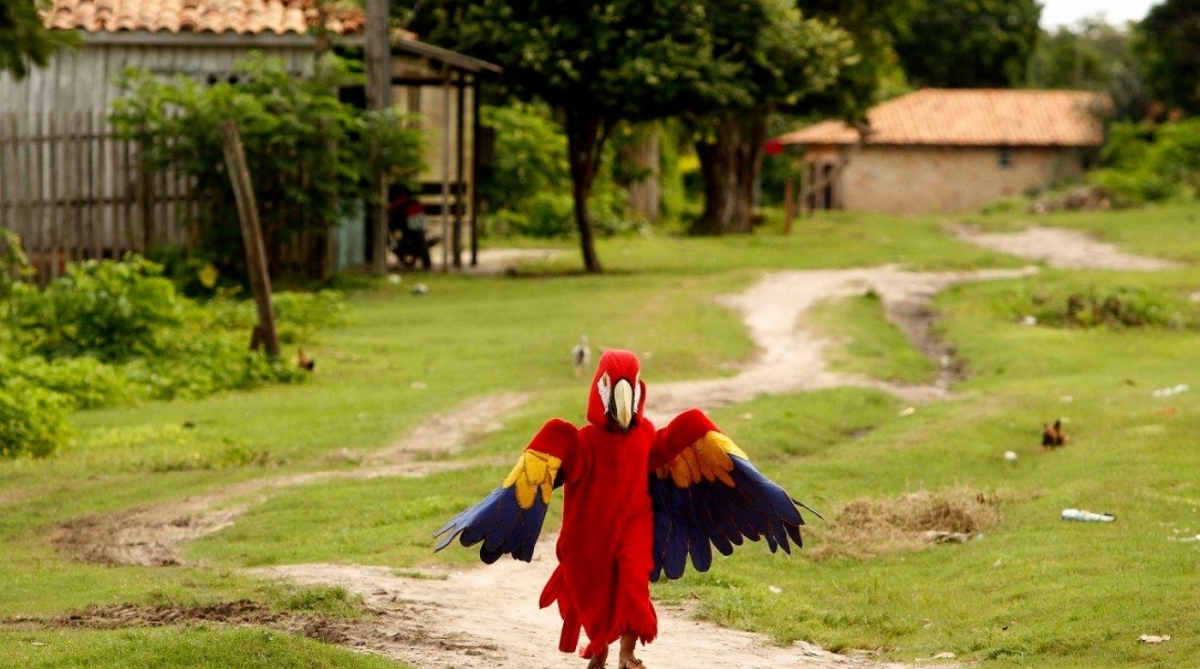 Crian&ccedil;a da comunidade de Juaba se veste de arara para desfilar pelas ruas de Camet&aacute; - Raimundo Pacc&oacute;/FramePhoto