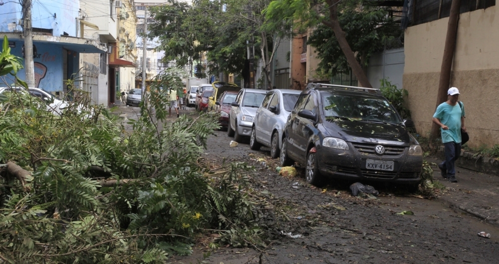 Árvore caída na Rua Pereira de Almeida, esquina com a Barão de Iguatemi, na Praça da Bandeira