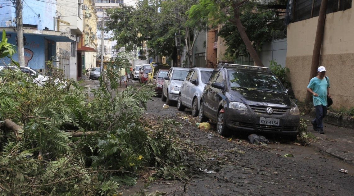 Árvore caída na Rua Pereira de Almeida, esquina com a Barão de Iguatemi, na Praça da Bandeira