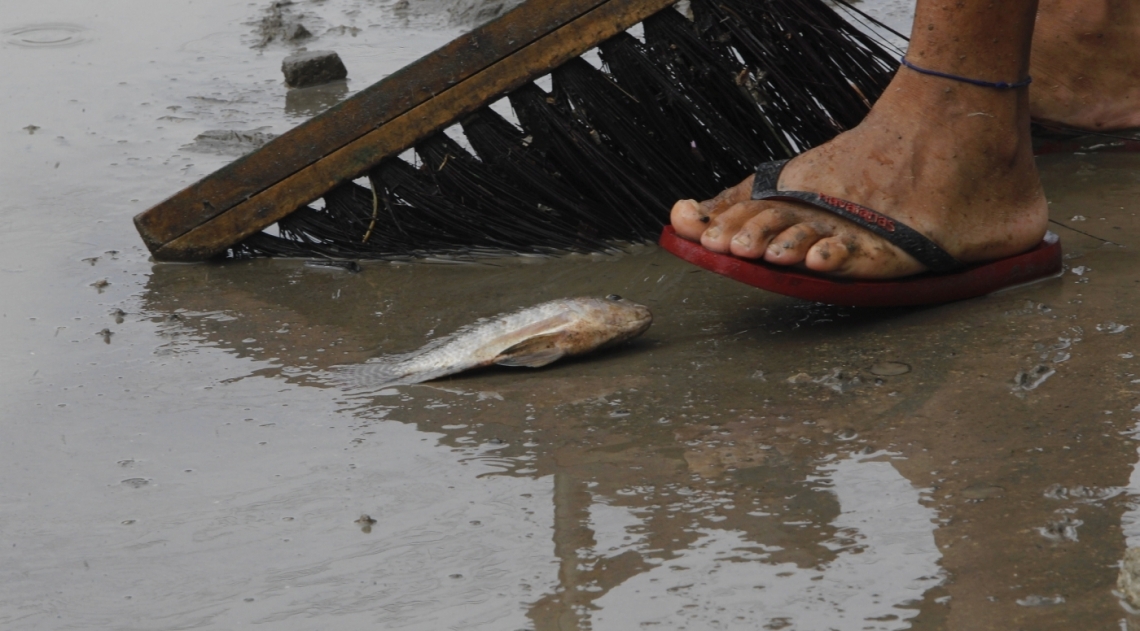 Na Rua,Tores de Oliveira, em Piedade, homem pega peixa em poça d'água