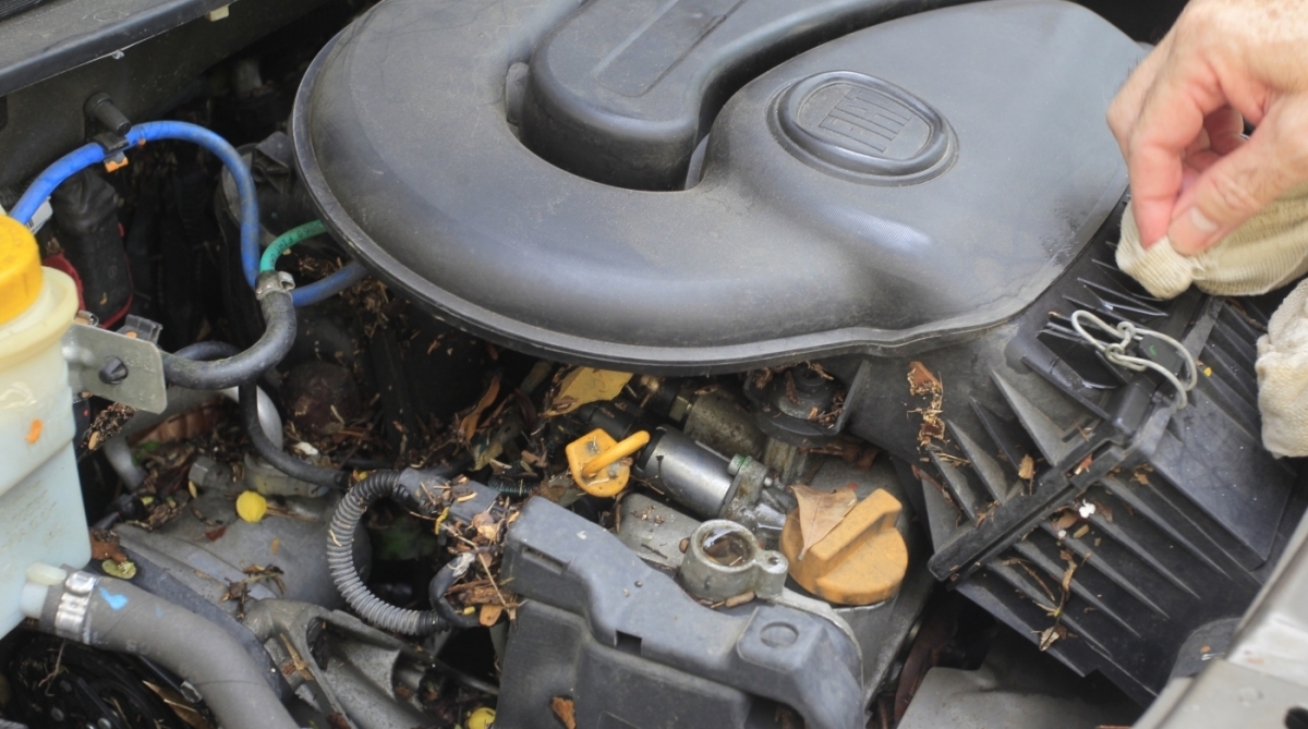 15/2/2018 - Comerciantes da Praça da Bandeira fazem mutirão para limpar suas lojas após o temporal. Com a mangueira, Izabel da Motta, dona da Loja.    Foto de Maíra Coelho / Agência O Dia. 