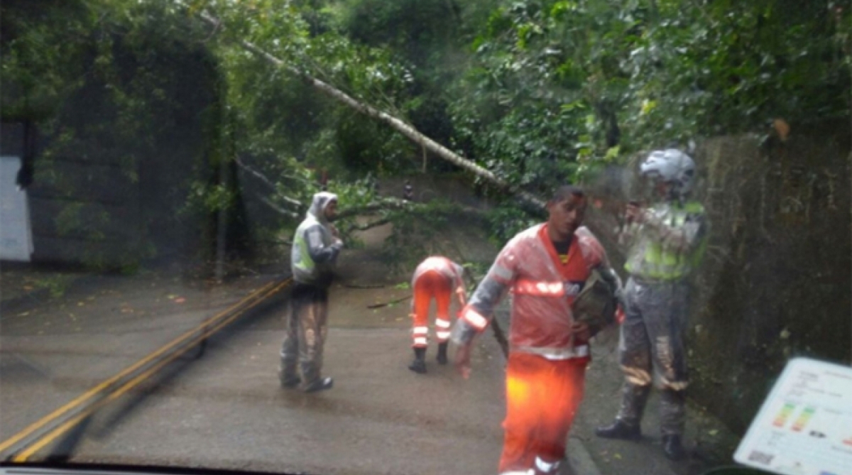 Queda de árvore interditou a Estrada da Gávea Pequena, na altura do n° 957. Equipes da prefeitura foram acionadas