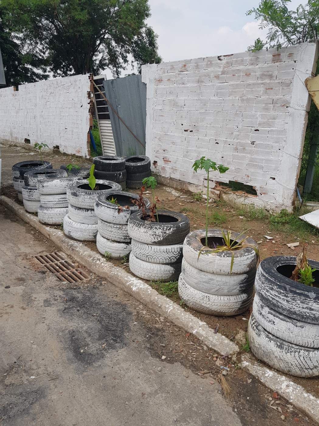 Moradores construíram canteiro - Foto do leitor