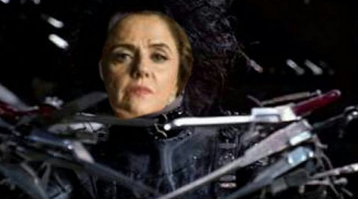 Meme de Sophia Mãos de Tesoura, sobre a personagem Sophia (Marieta Severo)