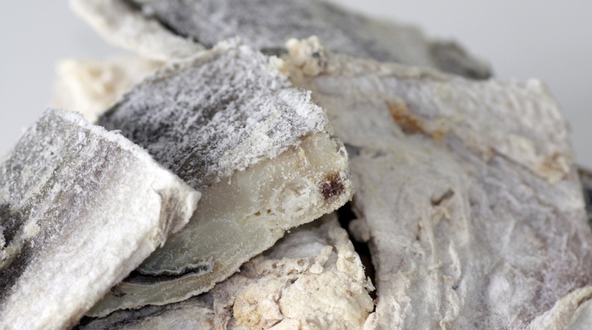 Técnicos estão de olho nos peixes comercializados como bacalhau - Reprodução de Internet