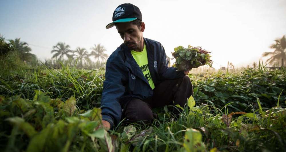 Produtores rurais vo receber treinamento e material para agricultura orgnica, o que permitir aumento na renda e cuidados com os rios