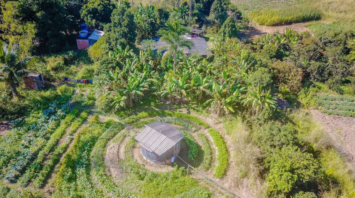 Projeto Caruanas
O projeto consiste na implantação de 50 módulos de produção agroecológica (sem uso de defensivos químicos e agrotóxicos) em pequenas propriedades familiares dos municípios de Duque de Caxias e Nova Iguaçu, uma parceria entre a Danone, o fundo de investimentos Livelihoods, e o Sebrae. 
