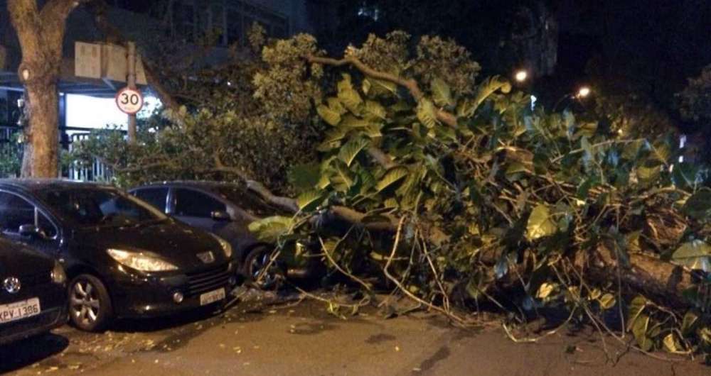 �rvore cai na Rua Anita Garibaldi, em Copacabana