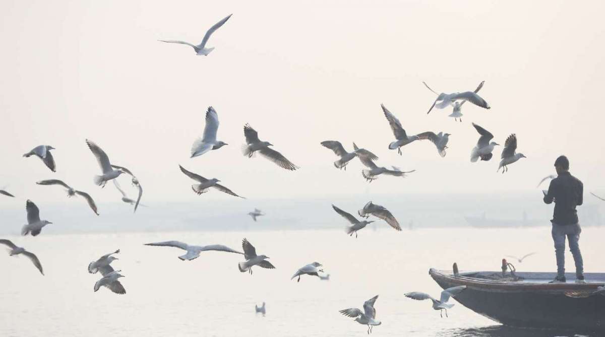 Atualmente, milhares de pessoas viajam para Índia para conviver por até dois meses com o mestre espiritual brasileiro