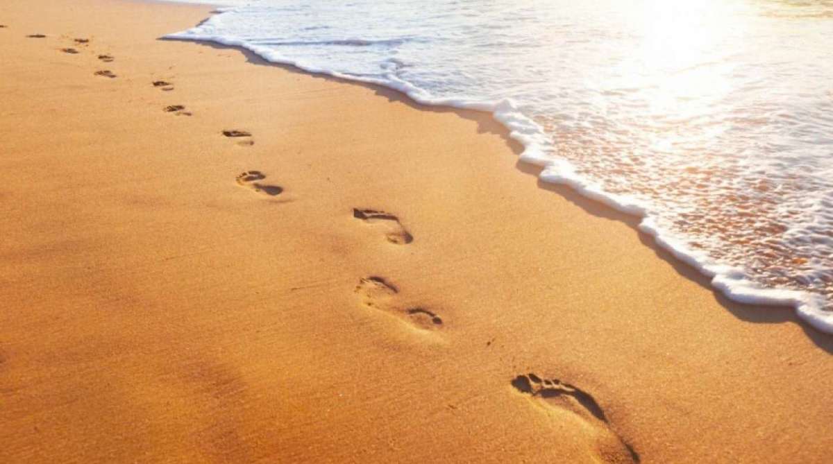 C&acirc;mara aprova a libera&ccedil;&atilde;o do nudismo - .