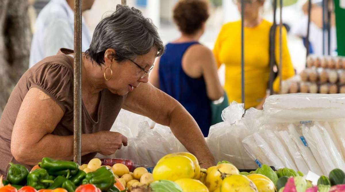Feira da agricultura familiar e economia solidária de Imbetiba, em Macaé Rui Porto Filho