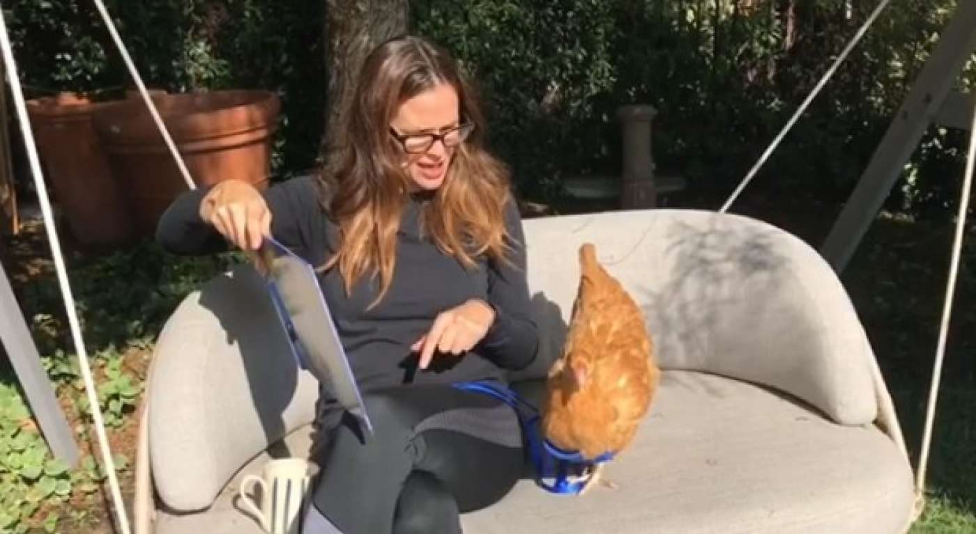 Jennifer Garner e sua galinha de estimação, Regina George, que morreu de causas naturais - Reprodução Internet