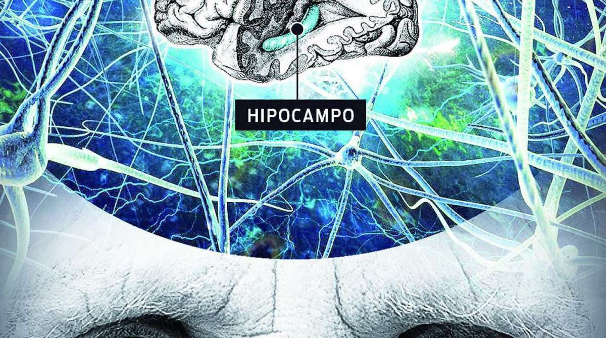 Resultados sugerem que muitos idosos podem reter suas habilidades cognitivas - ARTE O DIA