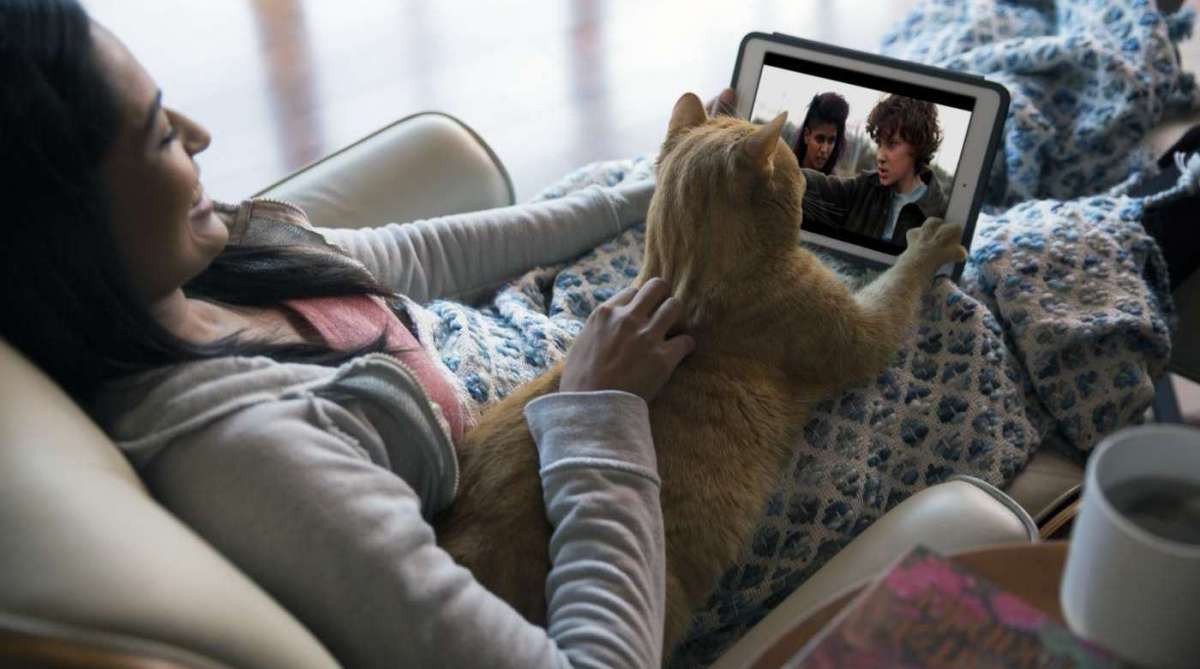Pesquisa da Netflix revela que 65% dos brasileiros assistem maratonas de séries com seus pets. 