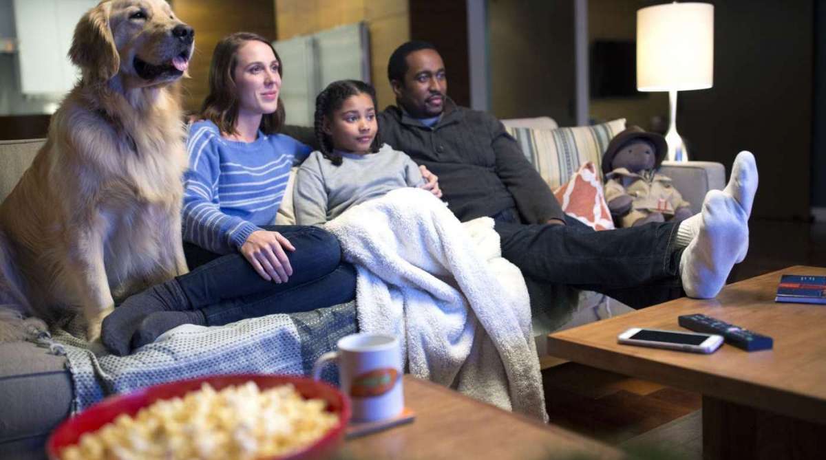 Pesquisa da Netflix revela que 65% dos brasileiros assistem maratonas de séries com seus pets. 